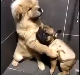 ▲兩個月畫完北極熊　高超技術真假難辨。（圖／翻攝自臉書）