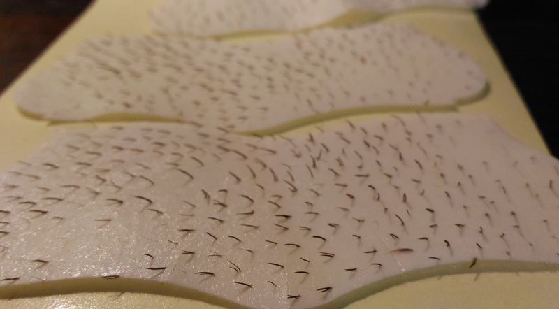 ▲用妙鼻貼幫老公拔背部粉刺，畫面好療癒。（圖／翻攝自爆廢公社）