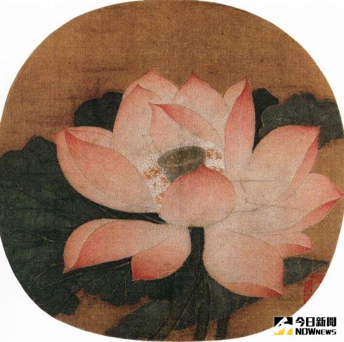 吳炳《出水芙蓉圖》·南宋·絹本設色·紈扇·23.8×25.1cm。