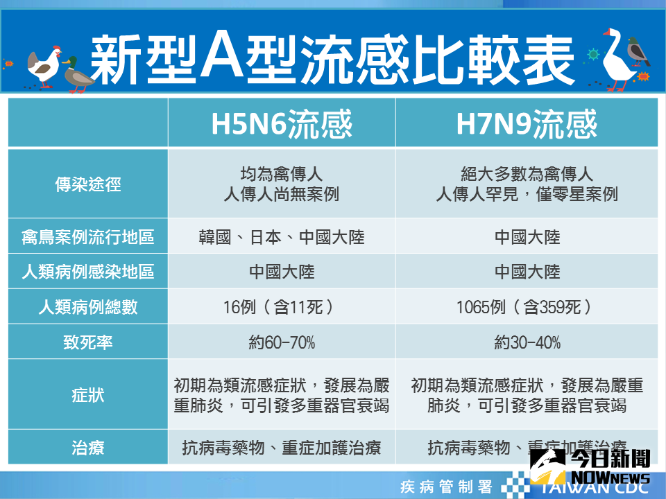 ▲國內首度自死亡幼鵝檢體檢出H5N6病毒，疾管署將持續監測疫情。（圖／疾管署提供）