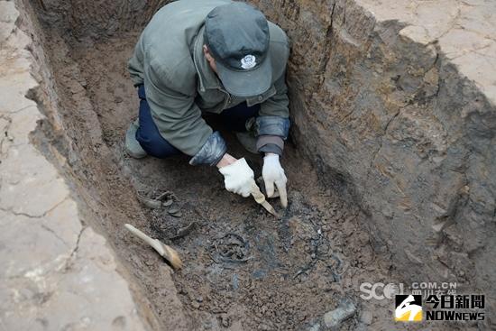 成都市文物考古研究所、蒲江縣文管所在「新悅豪庭」商建專案文物勘探工作過程中發現戰國墓群。