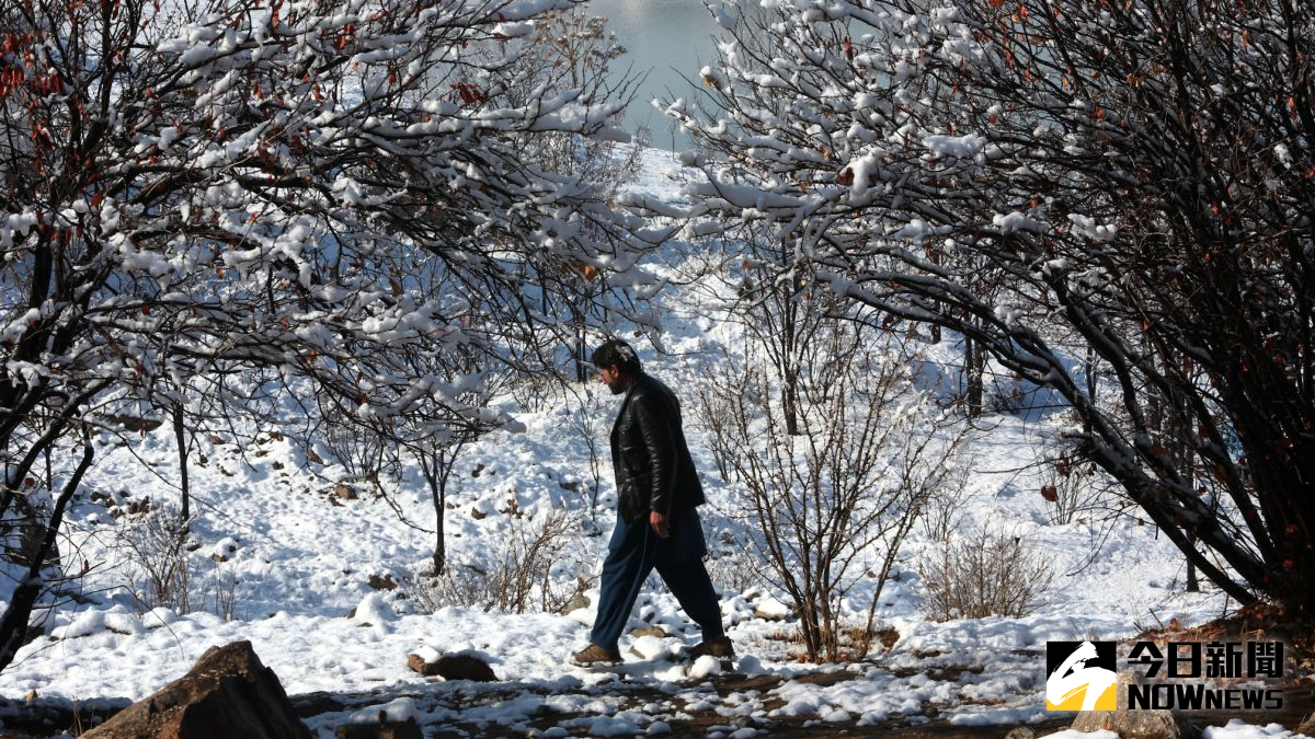 ▲阿富汗大雪釀災，各地因雪崩傳出傷亡。（圖／達志影像／美聯社）