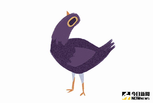 ▲垃圾鴿為何瘋狂搖頭？創作者揭密原因。（圖／翻攝自臉書）