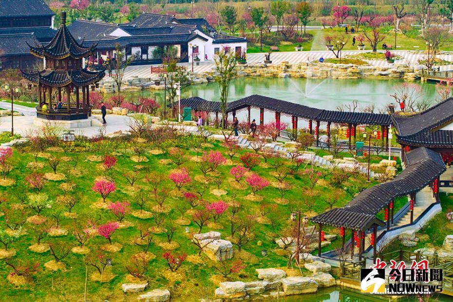 江蘇鹽城大豐梅花灣。