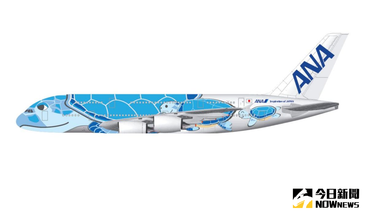 ▲ANA全日空最新引進A380客機，將會以「綠蠵龜」為主題翱翔天際。（圖／ANA）