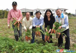 ▲新竹縣長邱鏡淳、副議長陳見賢等人下田拔蘿蔔，體驗農家樂。（圖／新竹縣政府提供106.03.04）