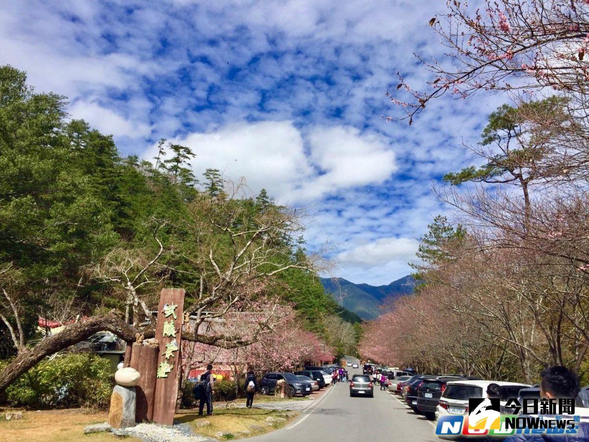 ▲國民旅遊卡3月1日起開放第四類自由行方式，即公務人員可直接刷卡訂房或購票。（圖／記者陳致宇攝）