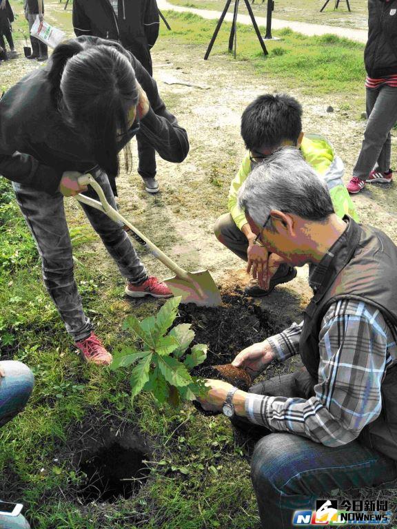 ▲為擴大槲櫟族群，在竹北市環保教育園區種植20餘株槲櫟幼苗。（圖／新竹縣政府提供，2017.3.11）