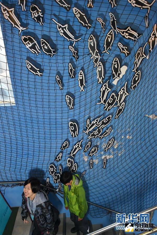 黃紋綺在「洄游吧」內介紹魚的分類知識。