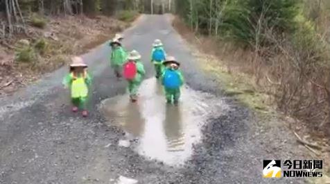 ▲萌孩排隊踩水窪，網友直呼好療癒。（圖／翻攝自臉書「爆笑公社」）