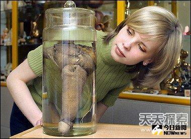 俄羅斯修道士格雷戈里·埃菲莫維茨·拉斯普京的巨大生殖器。