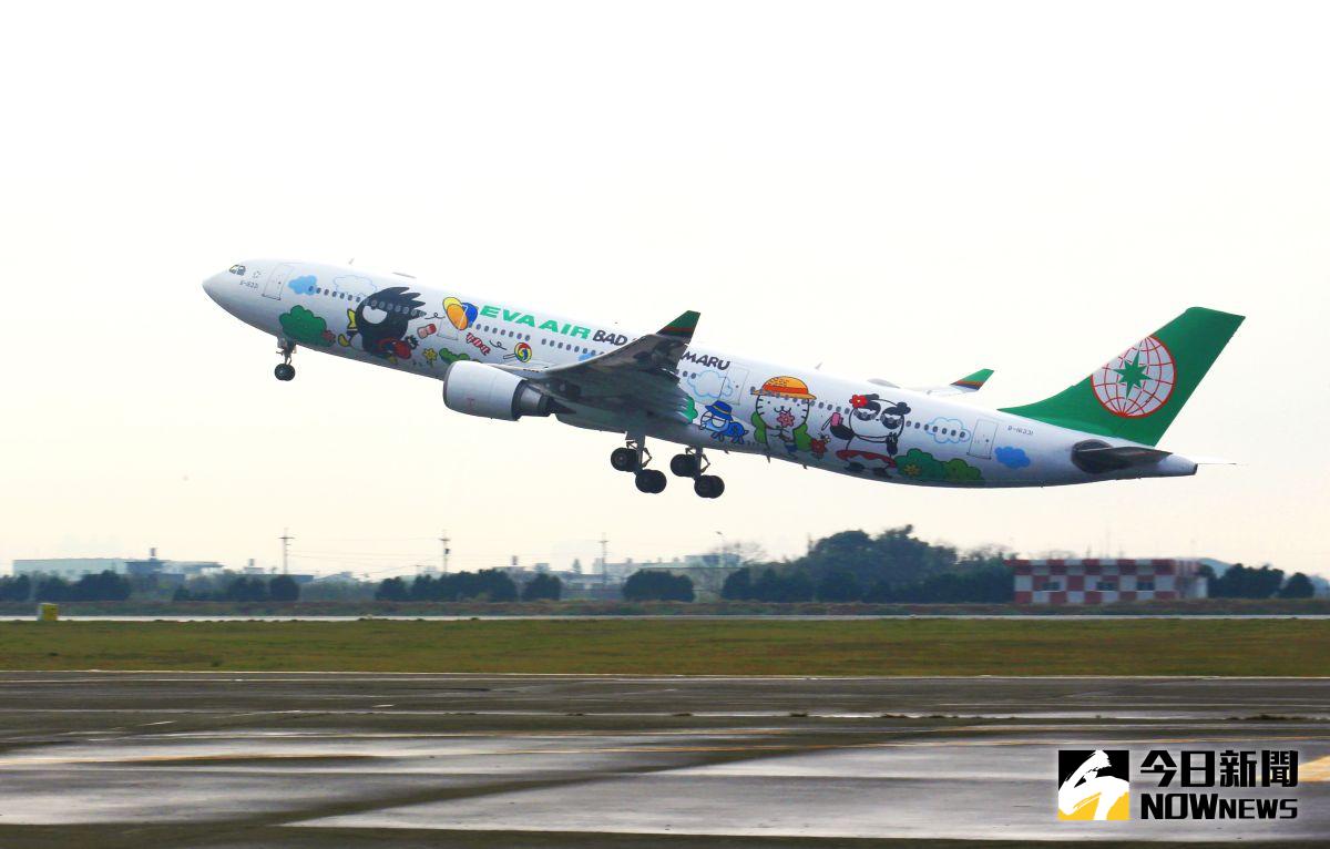 ▲長榮航空酷企鵝郊遊機淘氣登場。（圖／長榮航空提供）