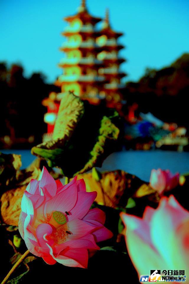 ▲【龍虎塔】塔高七層，潭上有龍虎兩閣樓，樓前有塑像，遊客可以進入參觀，由龍口進，虎口出，取其吉祥之意。巍峨聳立，與潭面相互對應，花景優美。（圖／記者宋德威攝，2017.3.3）