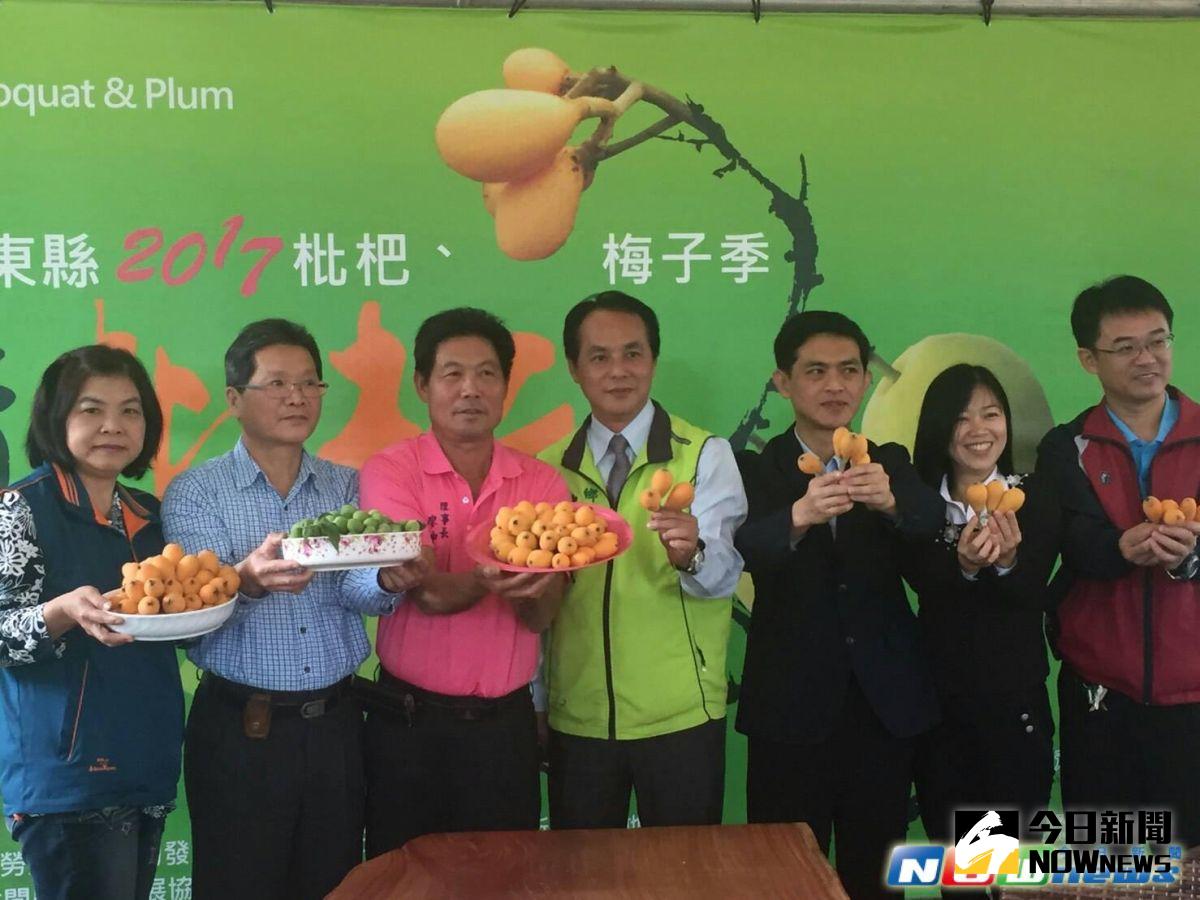 ▲卑南鄉公所與初鹿休閒農業發展協會預定3月25、26日於初鹿牧場辦理「乳香枇杷、話梅傳心」活動。（圖／卑南鄉公所提供，2017 .03 .22）