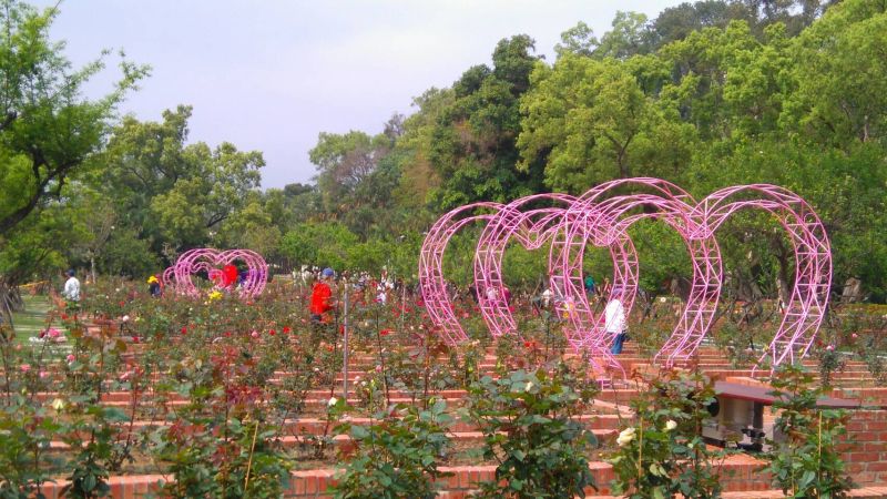 ▲士林官邸玫瑰園新植超過90個品種1600株玫瑰。（圖／北市公園處提供）