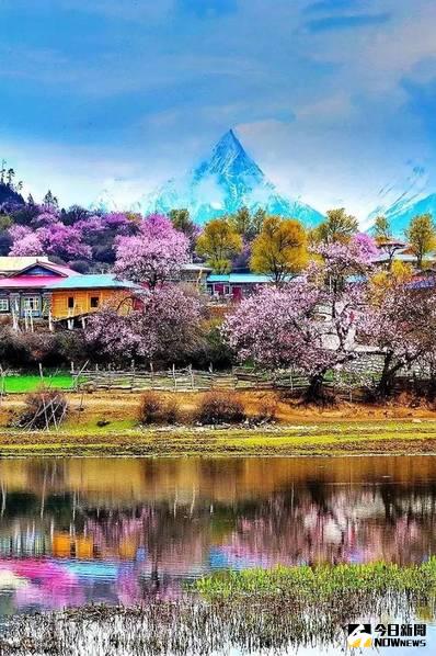 大陸十大花海相繼綻放，正是相約結伴出遊的好時節。