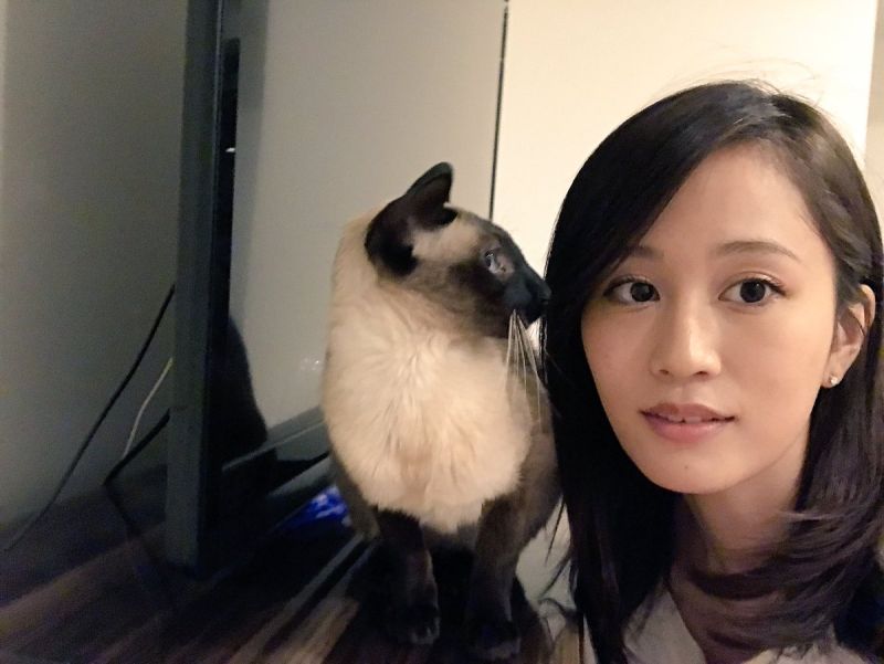 ▲前田敦子自離開AKB48後，戀愛解禁緋聞頻傳。（圖／翻攝自前田敦子推特，2017.03.03）