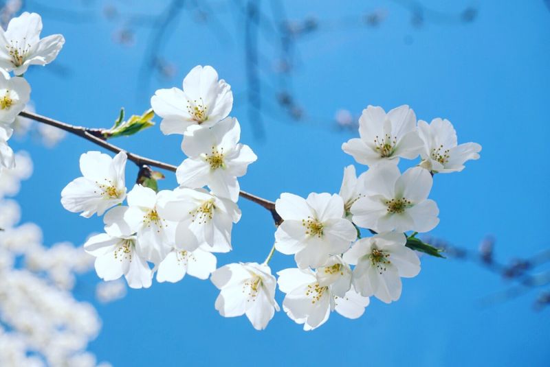 ▲台灣之星4G國際漫遊開通國家數居業界之冠！（圖／資料照片）