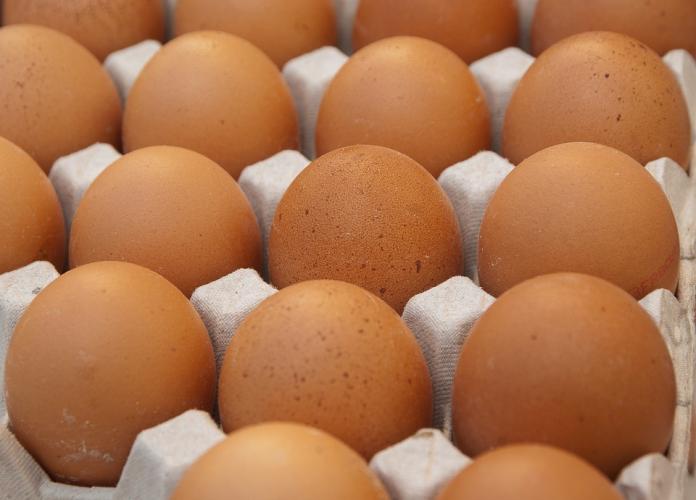 ▲國內驚爆市面有雞蛋驗出戴奧辛。（圖／取材自Pixabay網站）