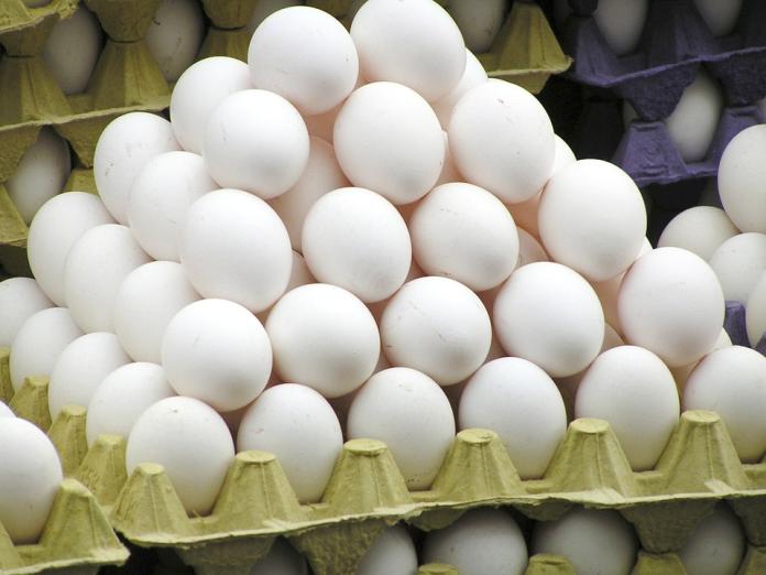 ▲▲食藥署今天公布，國內有雞蛋疑驗出「世紀之毒」戴奧辛。（圖／取材自Pixabay網站）