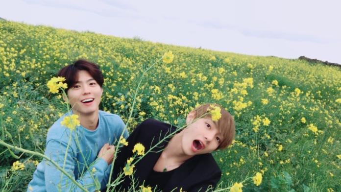 ▲背景雖然是遍地的小黃花，但完全勝不過金泰亨（右）與朴寶劍的高顏值。（圖／翻攝自防彈少年團推特，2017.04.18）