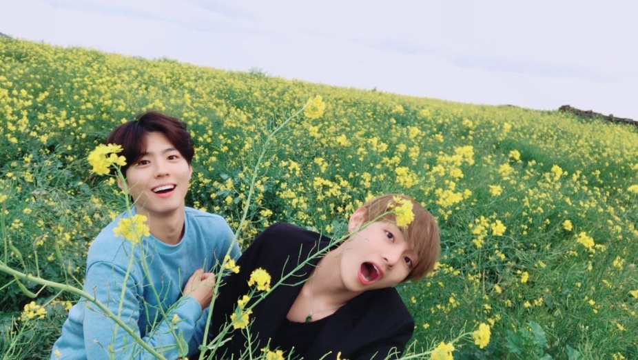 ▲背景雖然是遍地的小黃花，但完全勝不過金泰亨（右）與朴寶劍的高顏值。（圖／翻攝自防彈少年團推特，2017.04.18）