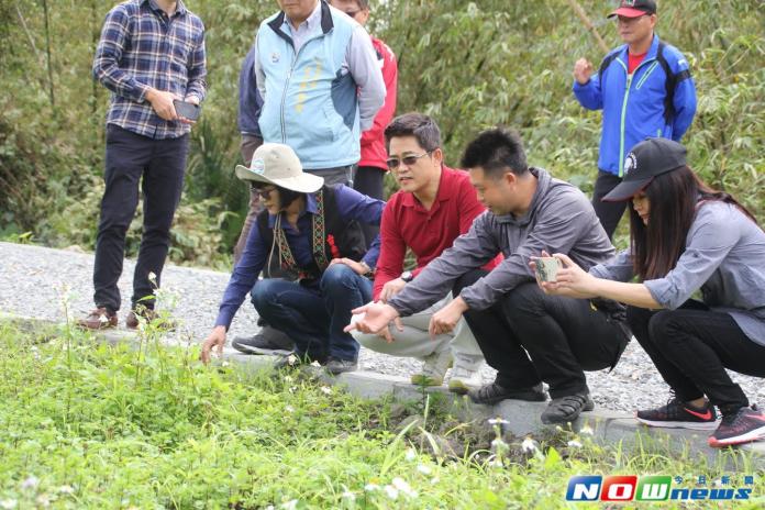 ▲台東東河的尚德村位於利用馬武溪的支流，可遠眺泰源幽谷，極利香草產業栽種發展地方性特色農業，圖為台東縣長黃健庭親自視察並允諾協助香草聚落地方性發展。（圖／記者劉修銘翻攝，2017 .04 .05）