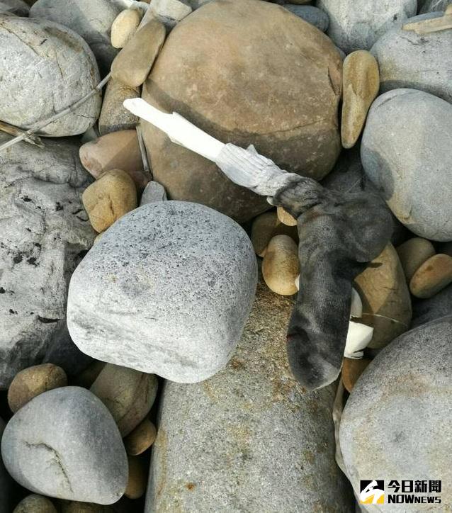 ▲遊客海灘拾貝，竟意外撿到人骨。（圖／社會中心翻攝）
