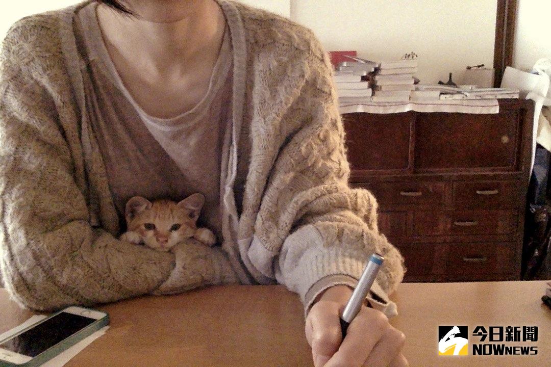 ▲小橘貓變得圓滾滾，撒嬌模樣超可愛。（圖／翻攝自推特）