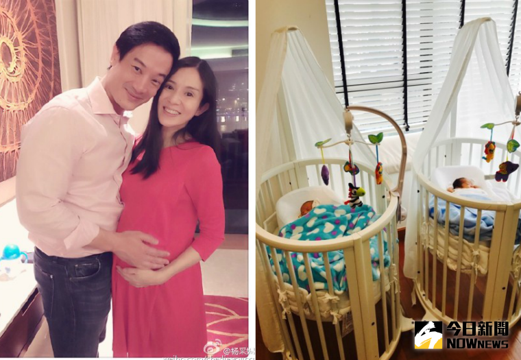 ▲楊采妮年初宣布懷孕喜訊，今（27）日在微博報喜生下一對雙胞胎兒子。（合成圖／翻攝自楊采妮微博，2017.04.27）