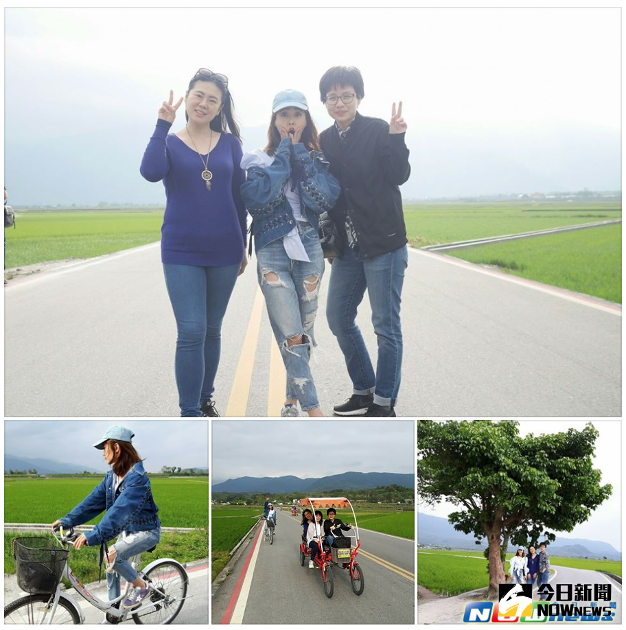 ▲台東縣池上鄉的伯朗大道繼「金城武樹」後，現又出現「蔡依林樹」的閨蜜樹，成為當地的知名景點。（圖／記者劉修銘翻攝，2017 .04 .11）