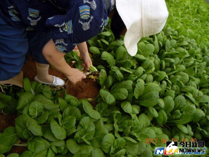 ▲配合桃園農業博覽會，桃市府同時推出四條一日輕旅程，打造桃園新旅遊綠色秘境。（圖／桃園市政府提供,2017.4.20）