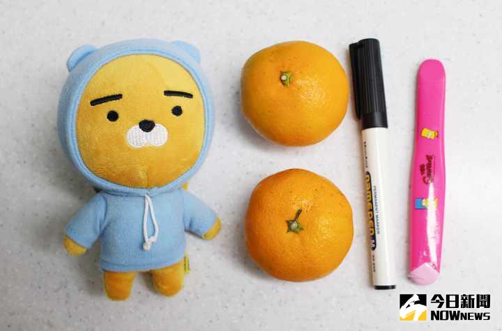 ▲橘子搖身一變，成為南韓人氣卡通明星Ryan。（圖／翻攝自koreaboo）