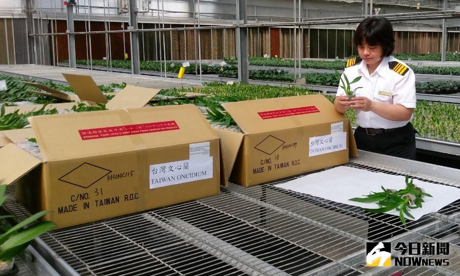 ▲近期網路直指政府「掏空農漁會7,000億，借給南向國家」，農金局駁斥，這是不實謠言。（圖／農委會提供）