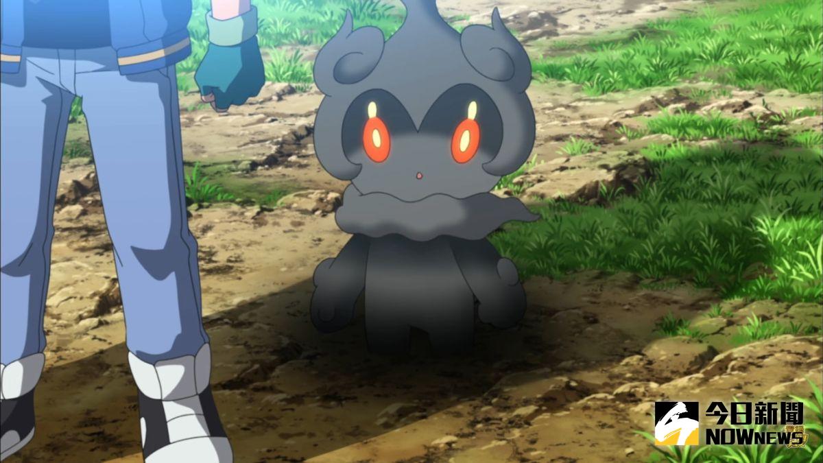 ▲。（圖／翻攝自網路）