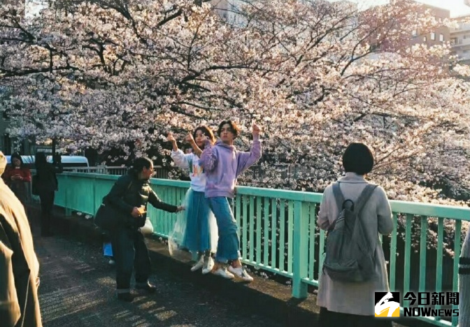 ▲林宥嘉（右）、丁文琪趁櫻花季拍婚紗。（圖／翻攝自微博，2017.04.06）