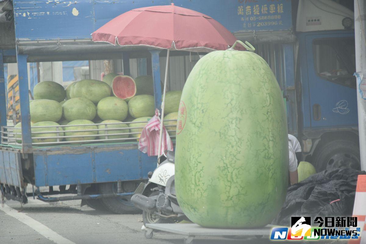 ▲西瓜販售業者以大西瓜造型吸引顧客。（圖／記者郭春輝擲攝，2017/05/02）