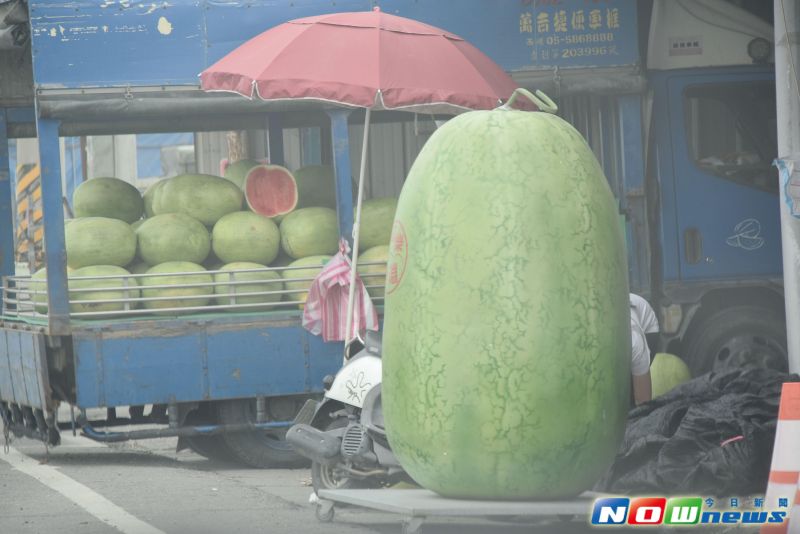 ▲西瓜販售業者以大西瓜造型吸引顧客。（圖／記者郭春輝擲攝，2017/05/02）