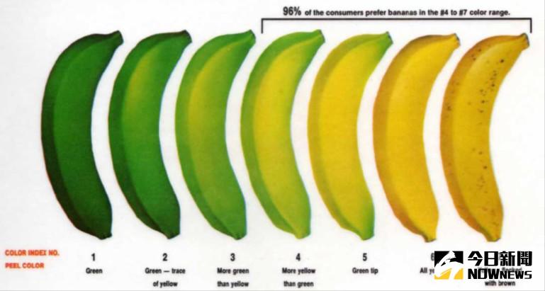 ▲香蕉果皮轉色卡。（圖／農糧署提供）