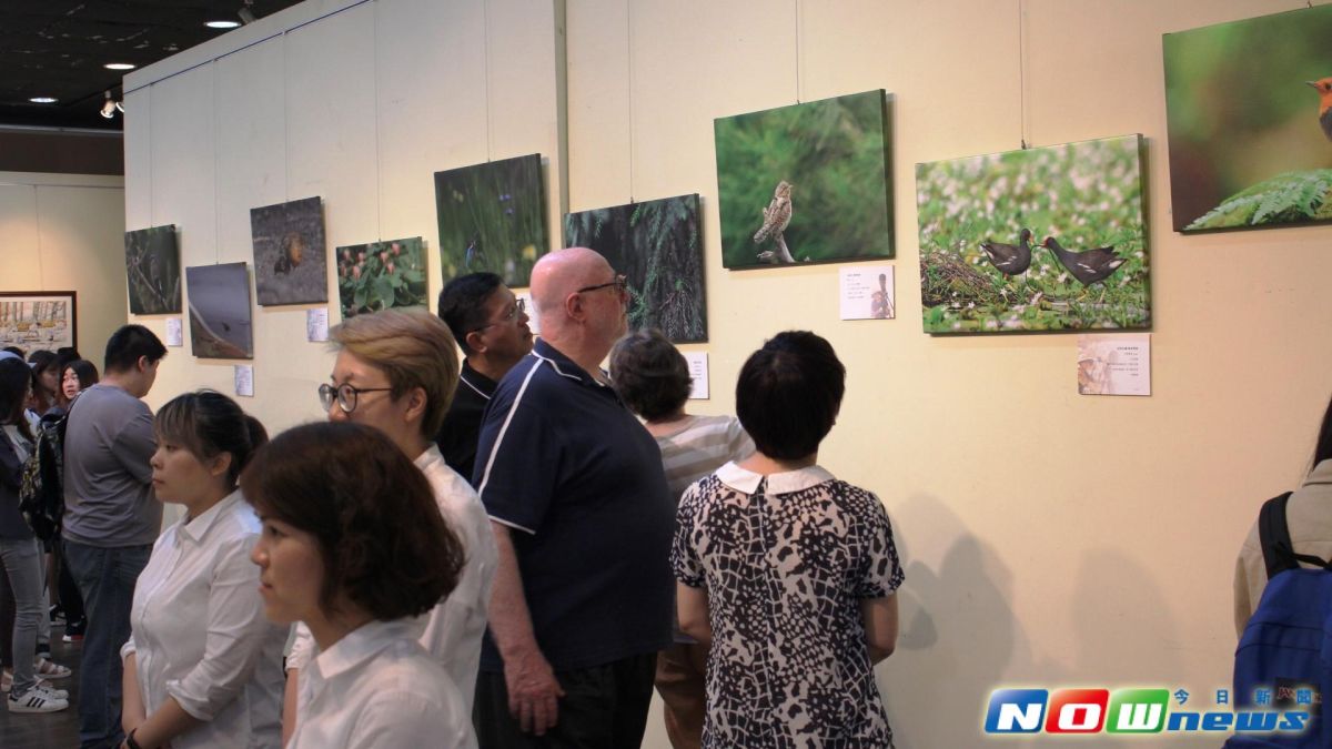 ▲環球科技大學辦「飛羽之美攝影暨水彩畫聯展」，展出青年學子嚴羚祐的攝影作  品，及凌湘台先生的水彩畫。（圖／記者蘇榮泉翻攝，2017.05.23）