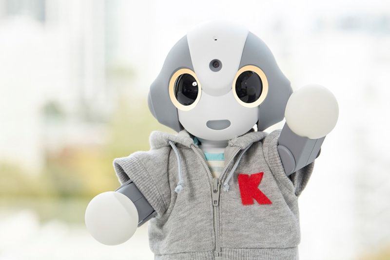 ▲KIBIRO搭載的AI「KIBIT」，將在醫學領域為民眾服務。（圖／翻攝自Fronteo）