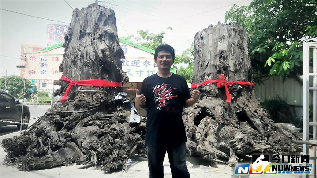 ▲屏東市「南區烏木古物館」董事鄭志聰霸氣展示2棵6千年歷史的烏木。（圖／記者陳宗傑攝,2017.5.8）