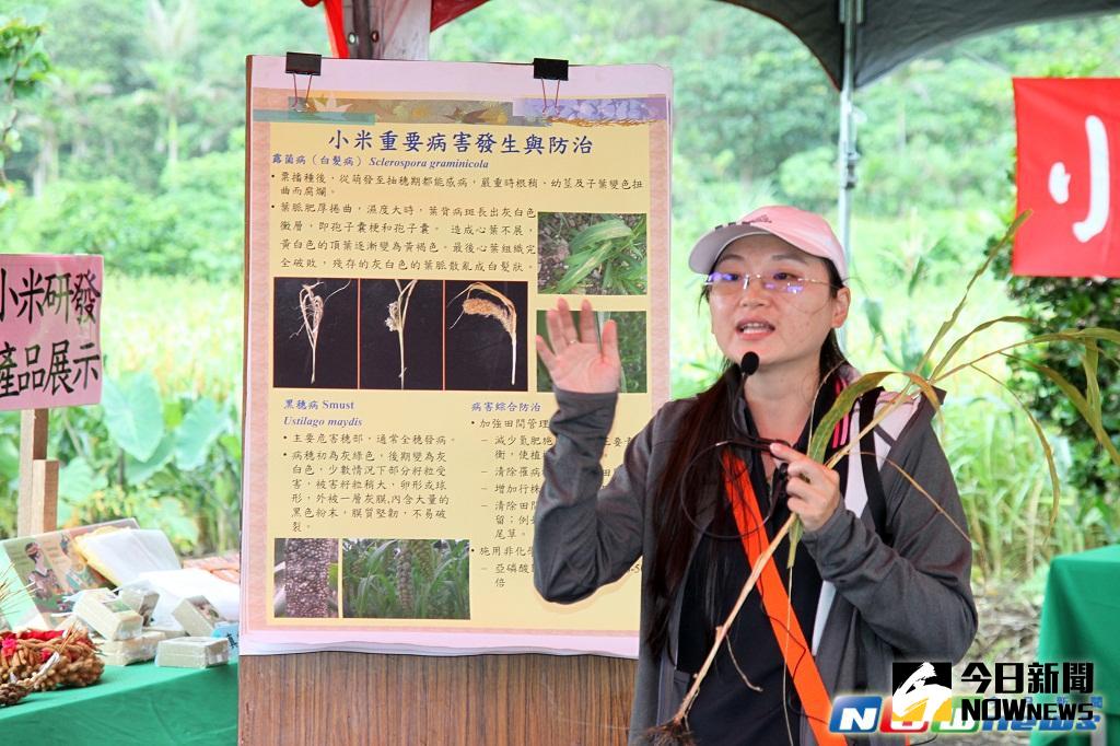 ▲臺東場許育慈助理研究員介紹小米有機栽培病蟲害防治技術。（圖／臺東場提供，2017. 05. 19.）