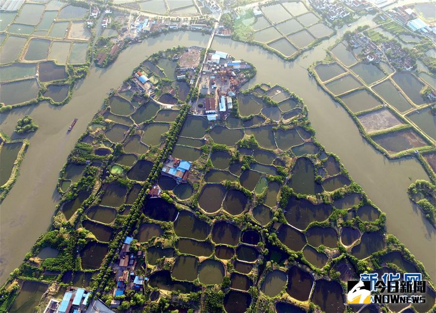 浙江省湖州市南潯區荻港村的一片桑基魚塘被一條運河支流包圍，呈現出半島狀。