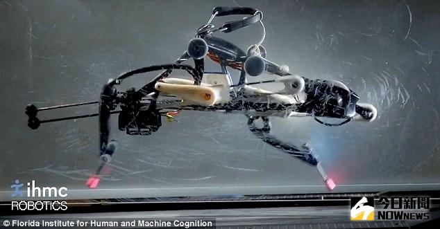 ▲美國佛羅里達州的「人類和機器認知研究所」（IHMC），近期研發出一款小型雙足機器人「鴕鳥機」。（圖／翻攝自YouTube）