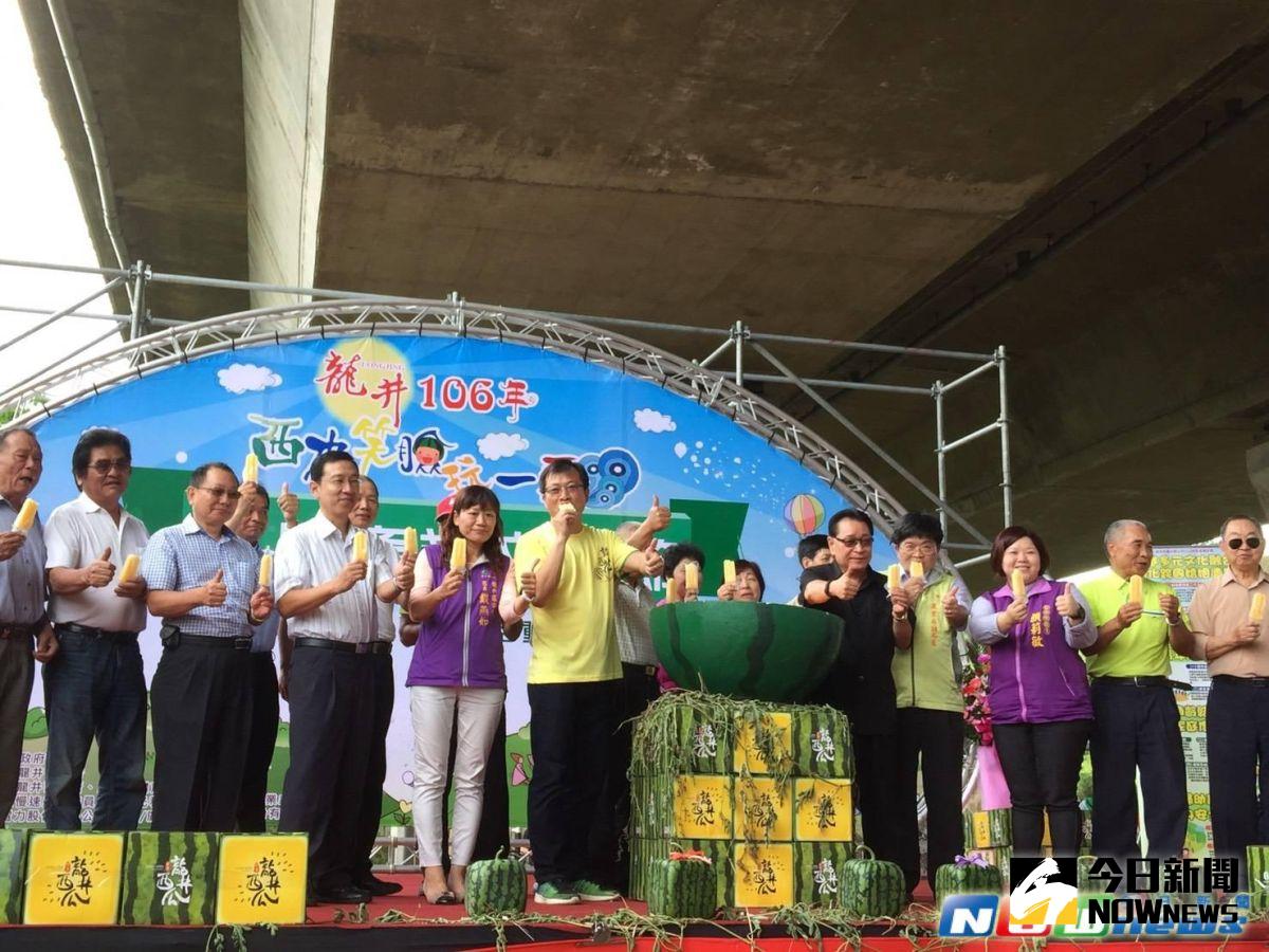 ▲龍井區農會推出限量西瓜造型蛋糕及清涼消暑的西瓜冰棒。（圖／記者柳榮俊攝2017.5.13）