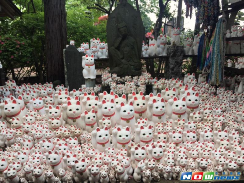 探訪招財貓由來的豪德寺。（圖／記者許凱婷攝）