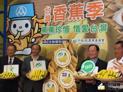 去年風災後香蕉復耕，今年產量估35萬公噸、增1成3，為免賣況差的夏天滯銷，農委會跟全聯宣布提早展開促銷，全聯今夏將售6千公噸；農委會並說全家也會參與。中央社記者楊淑閔攝　106年5月18日