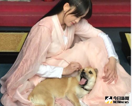 ▲陳喬恩對寵物相當疼愛，並相信小暴牙是已逝愛犬來福的投胎。（圖／翻攝自微博，2017.05.25）