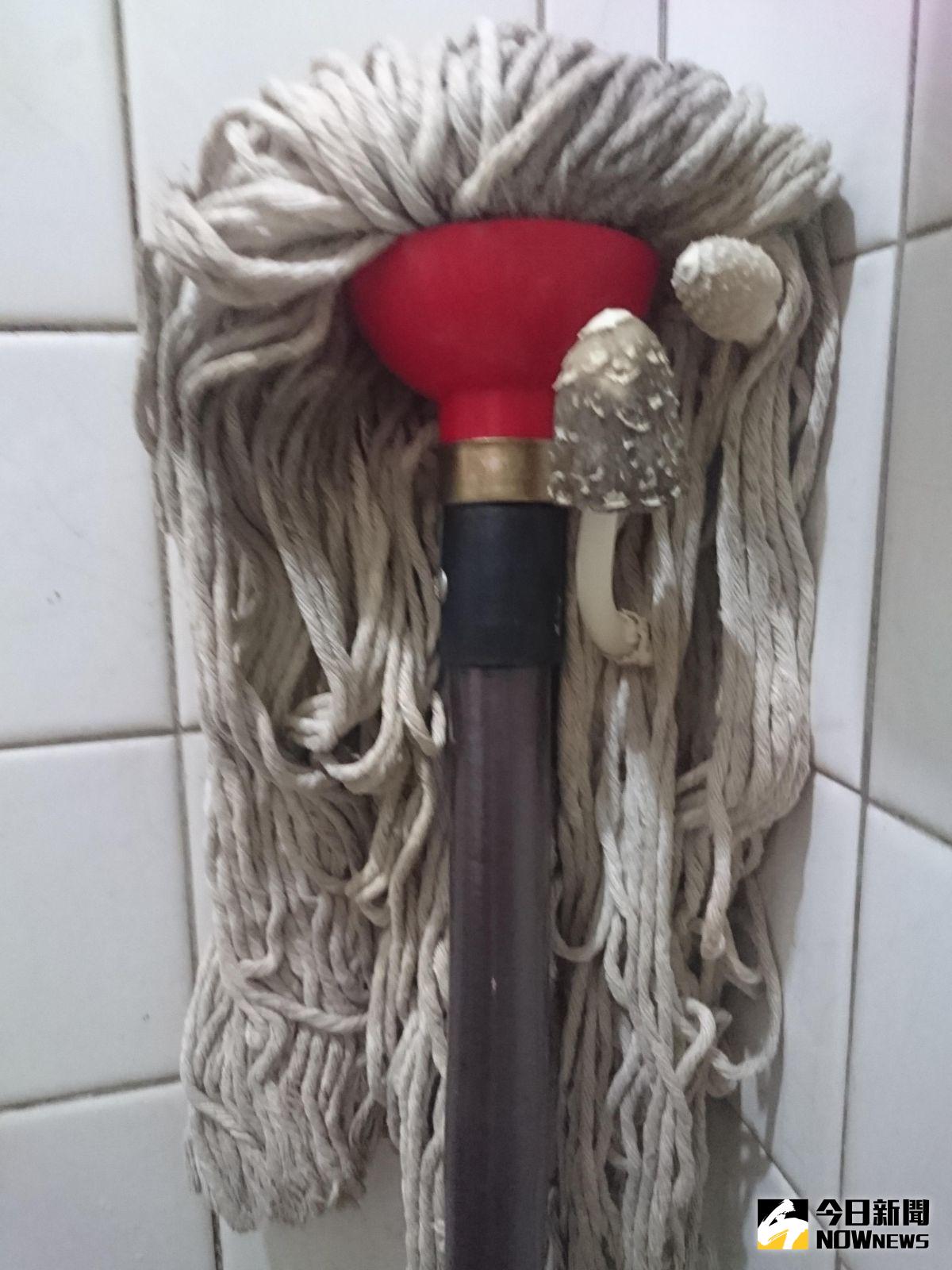 ▲幾天沒拖地，拖把竟長出「詭異菇菇」。（圖／翻攝自Dcard）